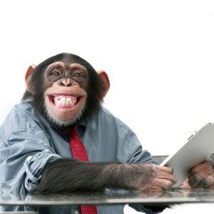 Affenstudie